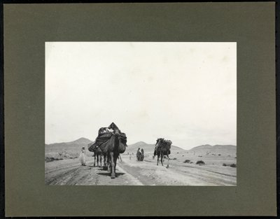 Cammelli su una strada sterrata, presumibilmente in Nord Africa, 1899 da Byron Company